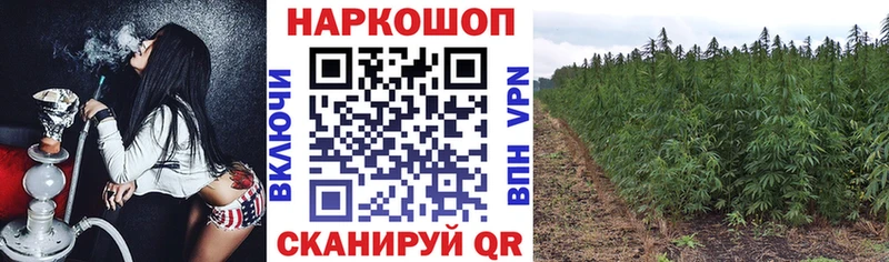 Где найти наркотики Нелидово Марихуана  Альфа ПВП  ГАШИШ 