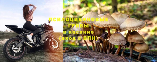 a pvp Заволжье